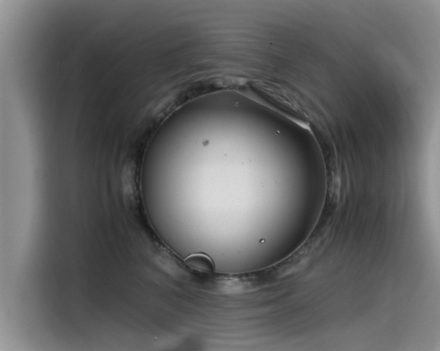 X0000115640616200911171424