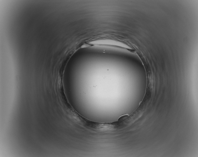 X0000115640617200911171424