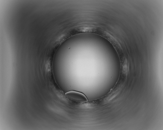 X0000115640620200911171424