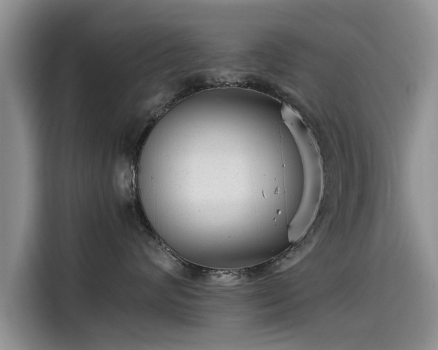 X0000115640624200911171423