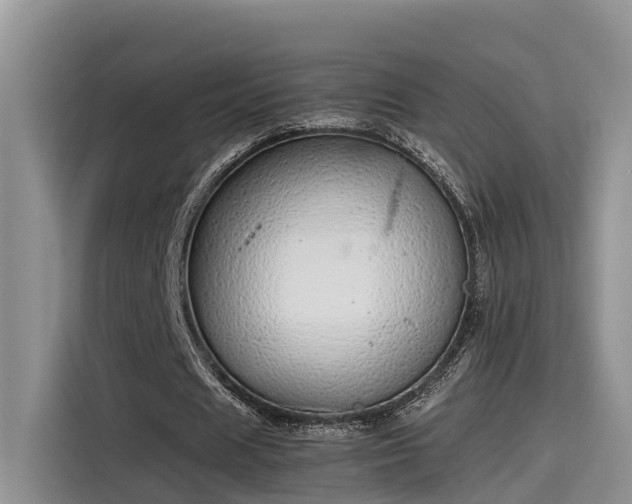 X0000115640625200911171423