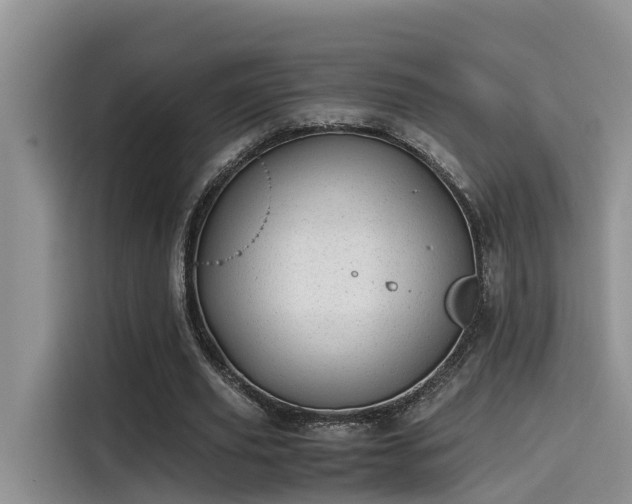 X0000115640629200911171423