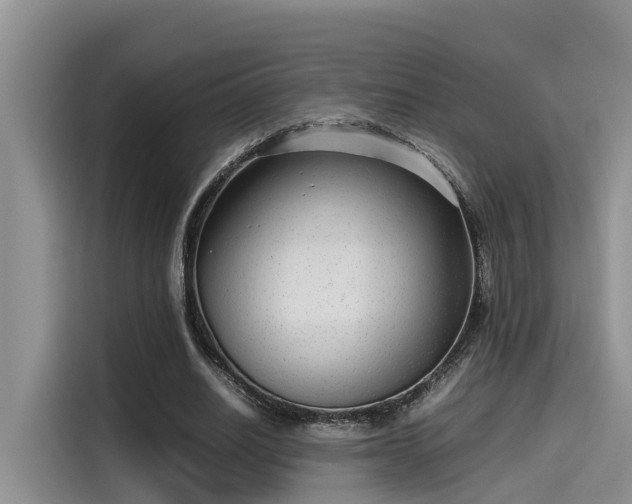 X0000115640630200911171423