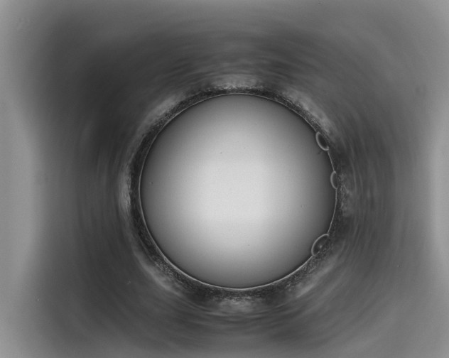 X0000115640631200911171423