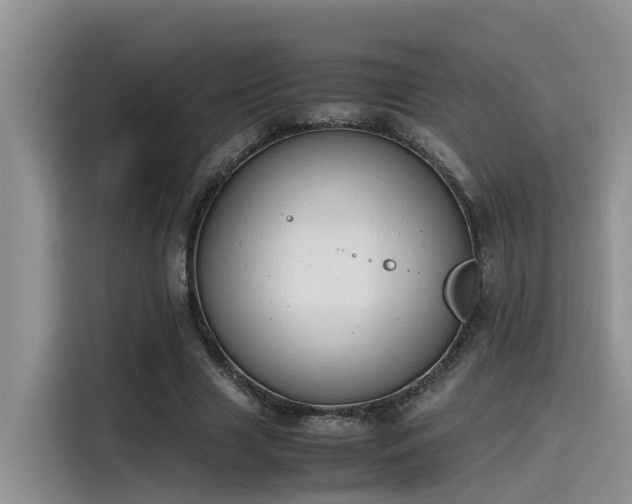 X0000115640633200911171423