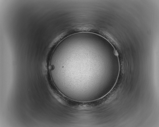 X0000115640634200911171423