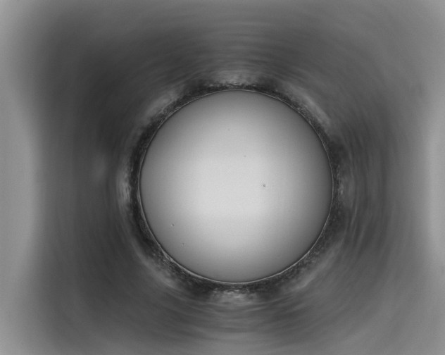 X0000115640635200911171423