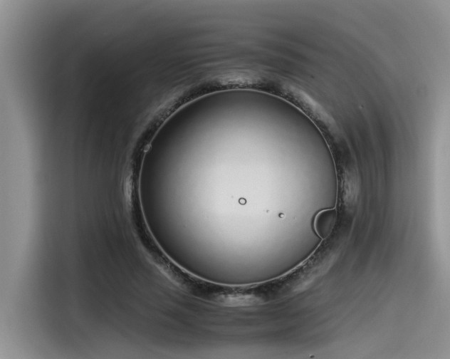 X0000115640637200911171423