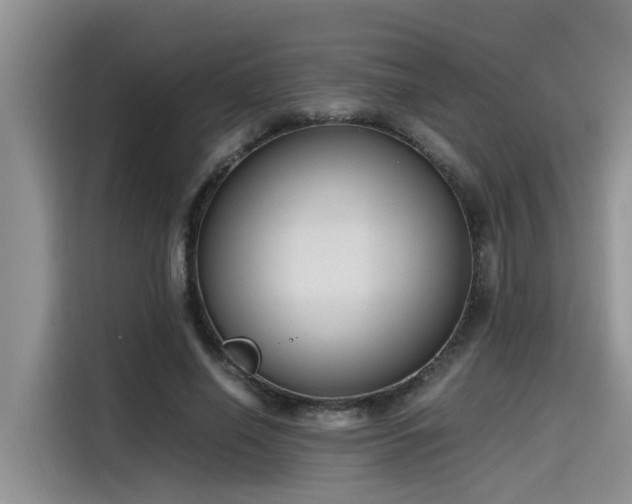 X0000115640638200911171423