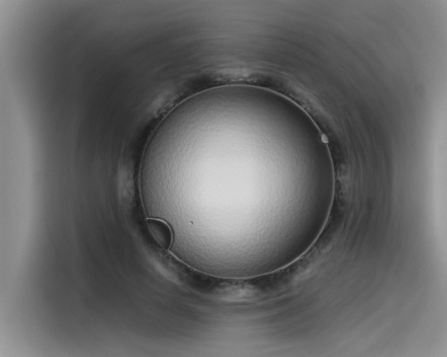 X0000115640642200911171423