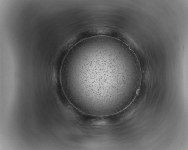 X0000115640643200911171423