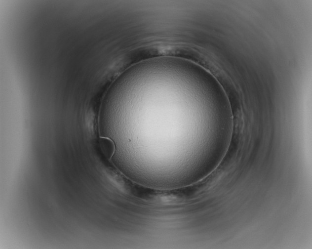 X0000115640650200911171423