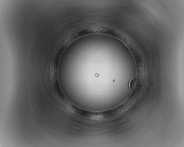 X0000115640653200911171423