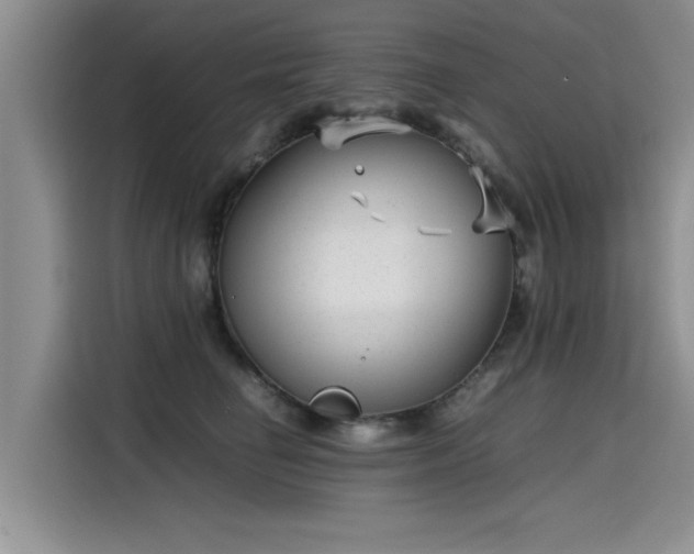 X0000115640662200911171423