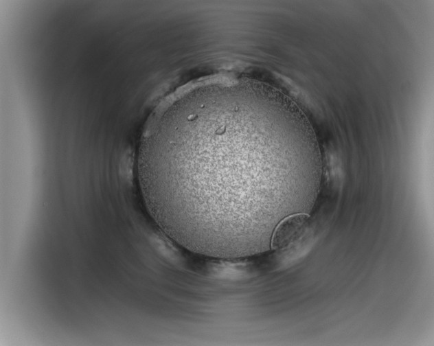 X0000115640664200911171423