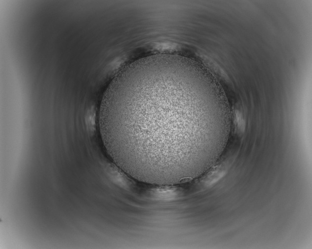 X0000115640668200911171423