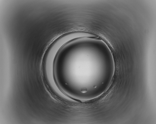 X0000115640674200911171423