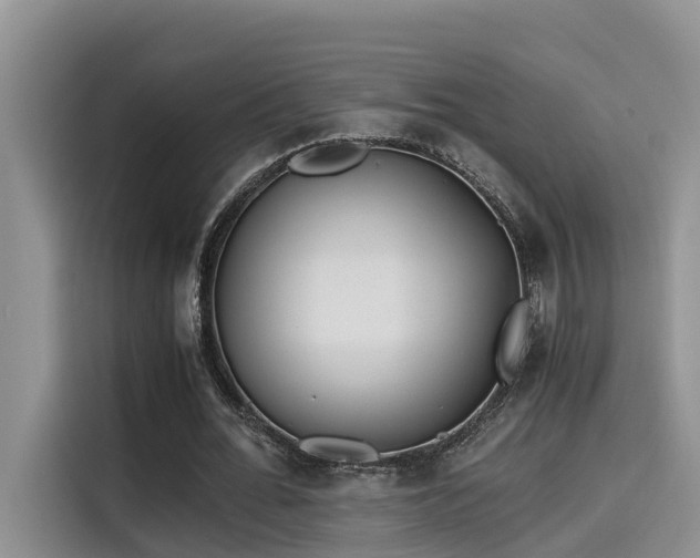 X0000115640676200911171423