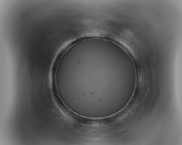 X0000115640678200911171423