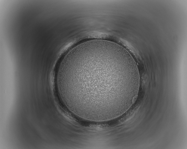 X0000115640679200911171423