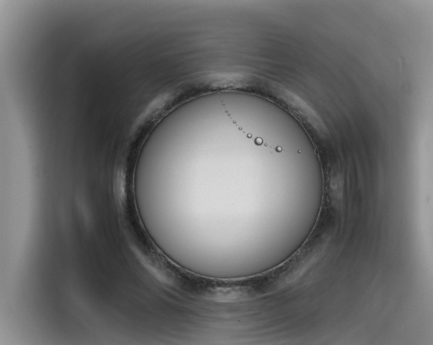 X0000115640686200911171423