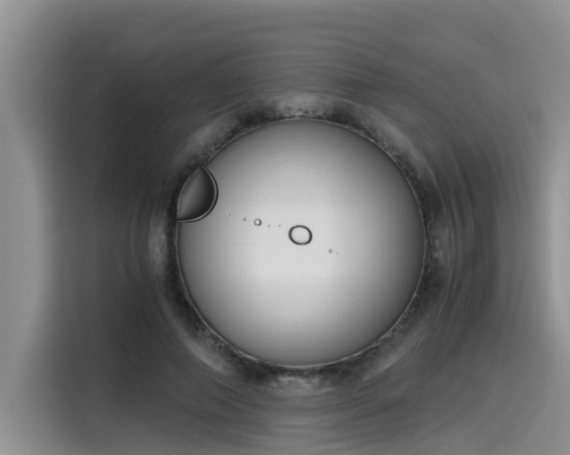 X0000115640690200911171423