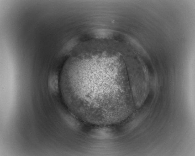 X0000115640696200911171423