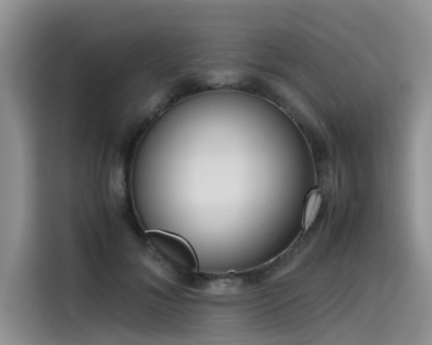 X0000115640700200911171422