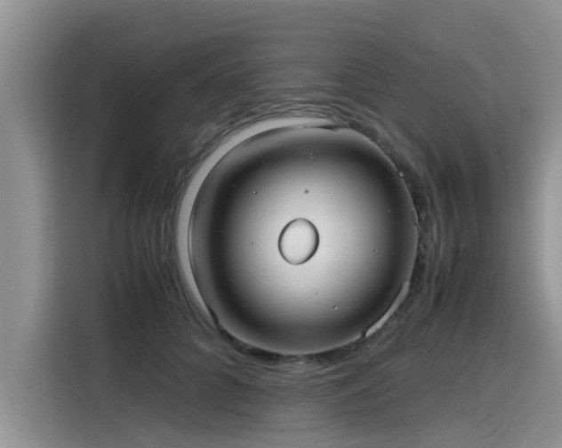 X0000115640704200911171422