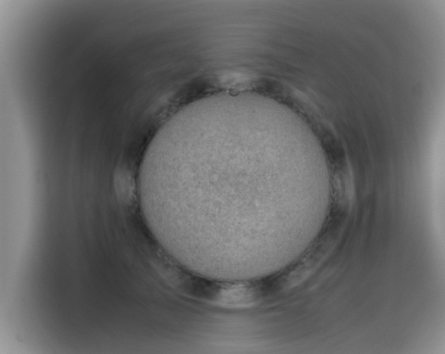 X0000115640705200911171422