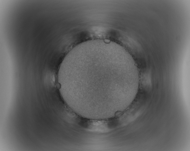 X0000115640709200911171422