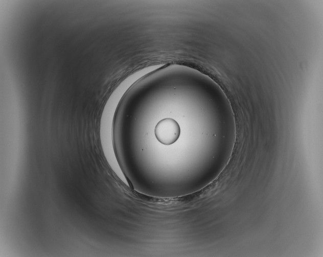 X0000115640720200911171422