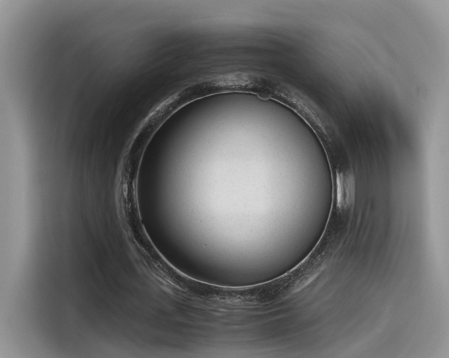 X0000115640723200911171422