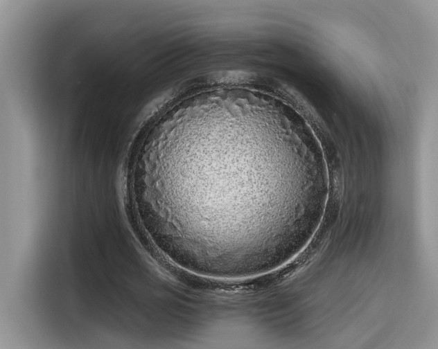 X0000115640725200911171422