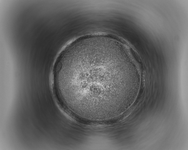 X0000115640726200911171422