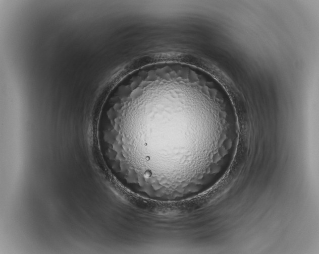 X0000115640729200911171422