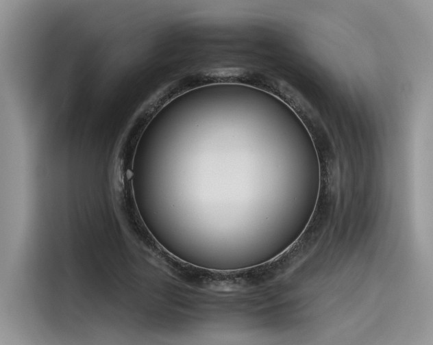 X0000115640731200911171422