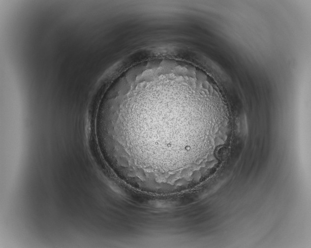 X0000115640733200911171422