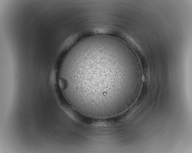 X0000115640738200911171422