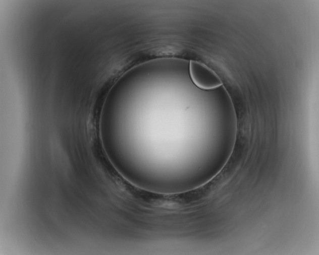 X0000115640743200911171422