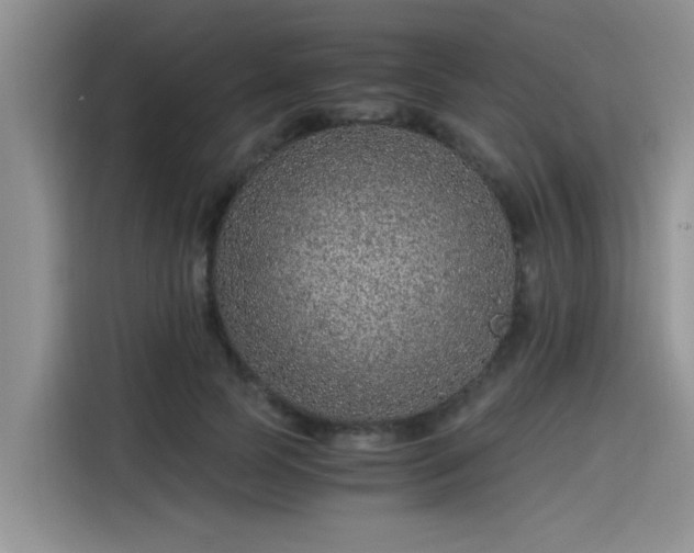 X0000115640745200911171422