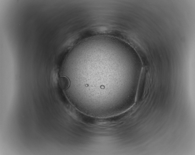 X0000115640746200911171422