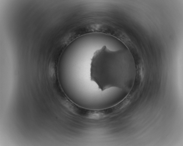 X0000115640754200911171422