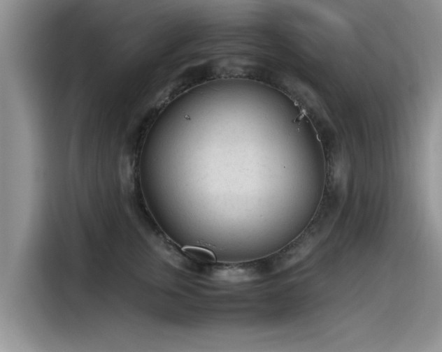 X0000115640759200911171422