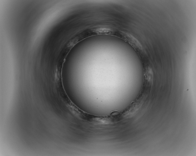 X0000115640763200911171422