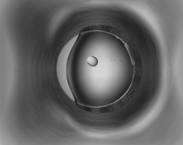 X0000115640766200911171422