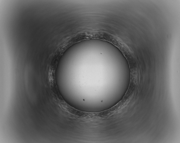 X0000115640770200911171422