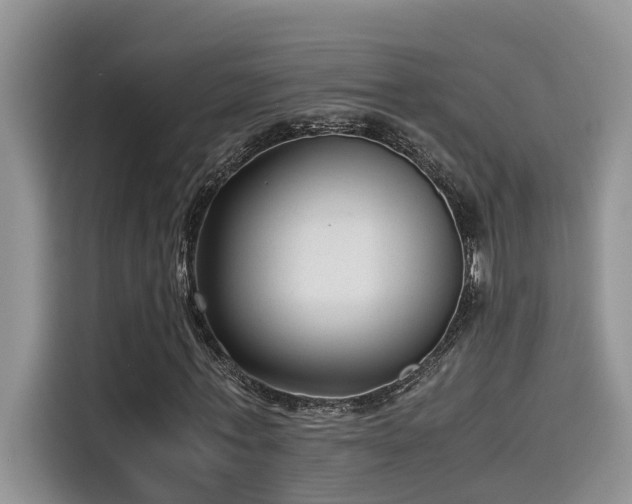 X0000115640771200911171422