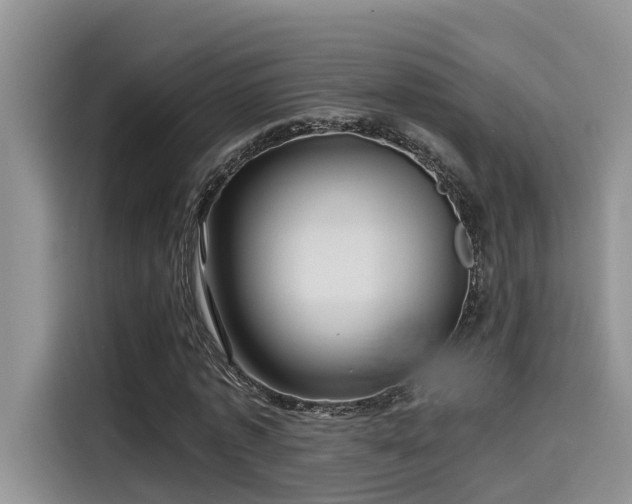 X0000115640773200911171422