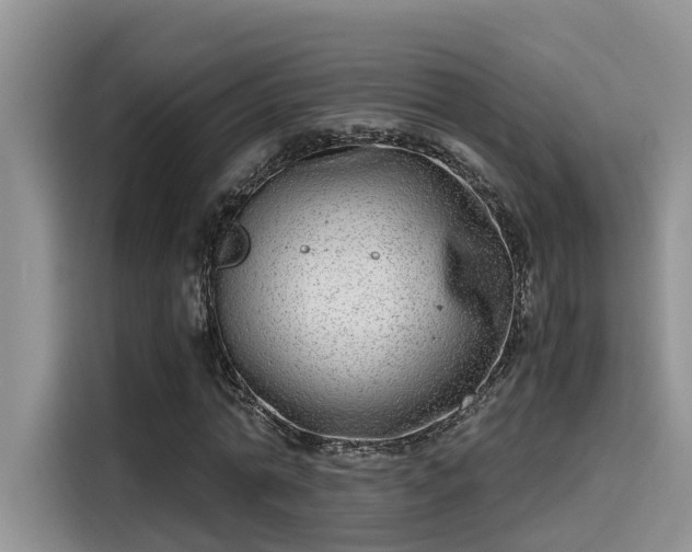 X0000115640774200911171422